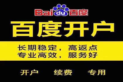百度推广平台：从传统到数字营销的转型案例
